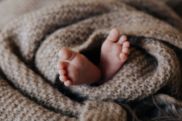 Babyfotografin Michaela Seidl Photographie