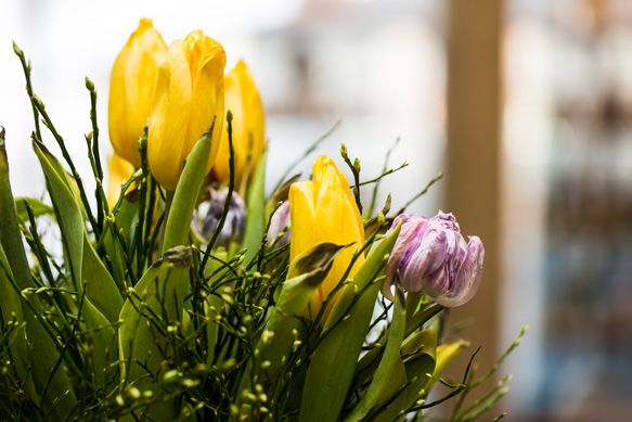 Social Media Fotograf Tirol